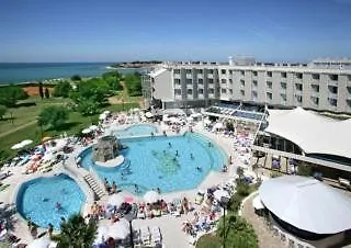 Aminess Vival Maestral