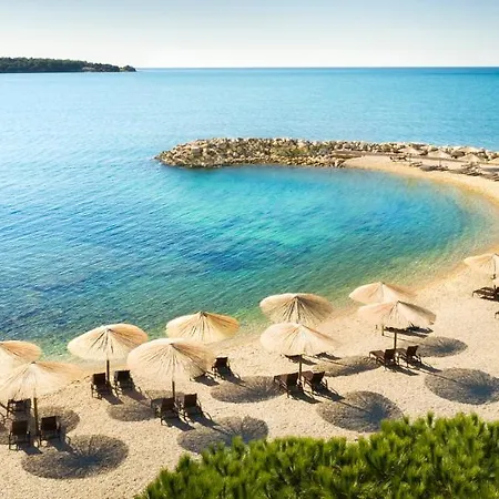 Aminess Vival Maestral